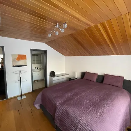 Appartamento Penthouse Matterhorn Vista